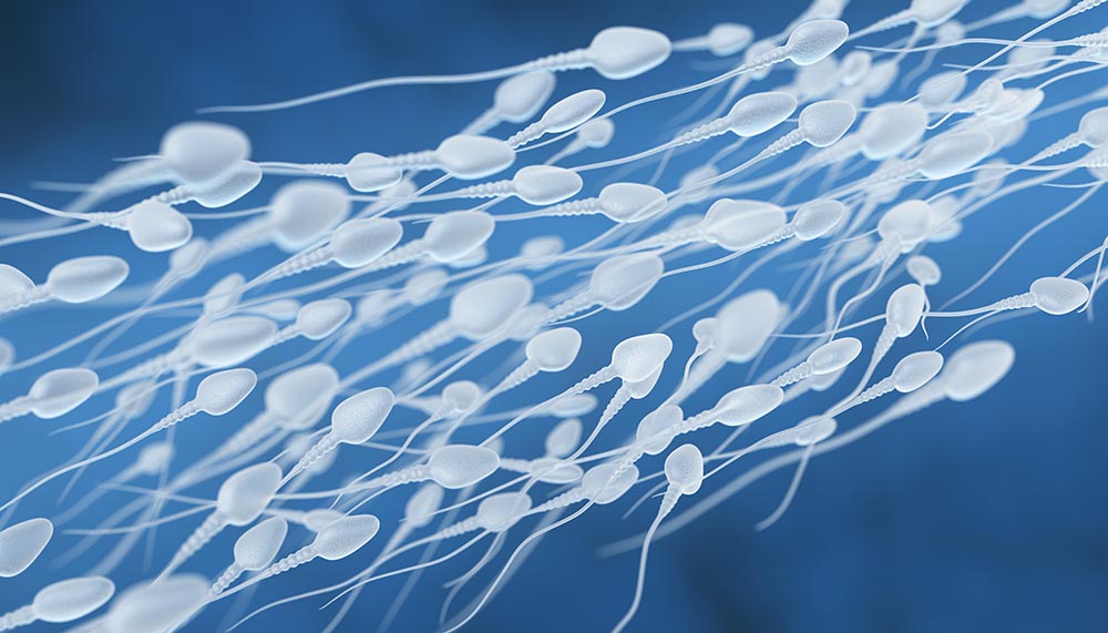 donor-sperm